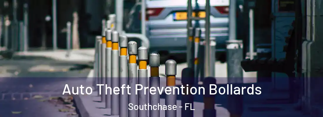  Auto Theft Prevention Bollards Southchase - FL