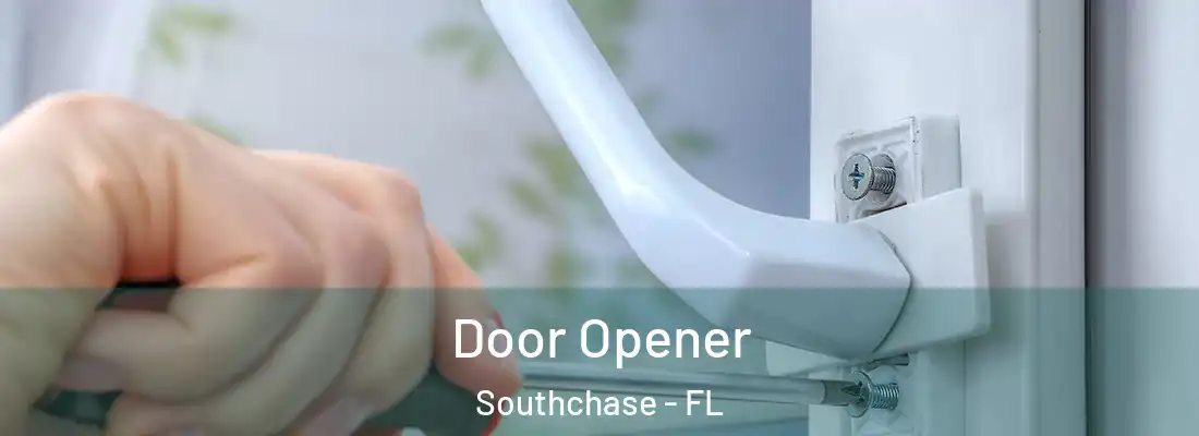  Door Opener Southchase - FL